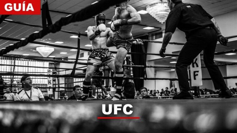 Guía de UFC